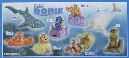 Findet Dorie  2016/2017