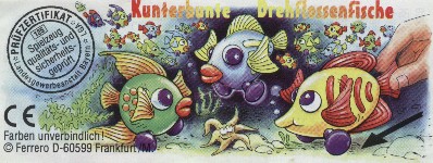 Kunterbunte Drehflossenfische  1999/2000