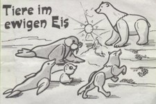 Tiere im ewigen Eis  1987/1988