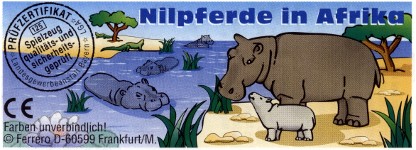 Nilpferde in Afrika  1999/2000